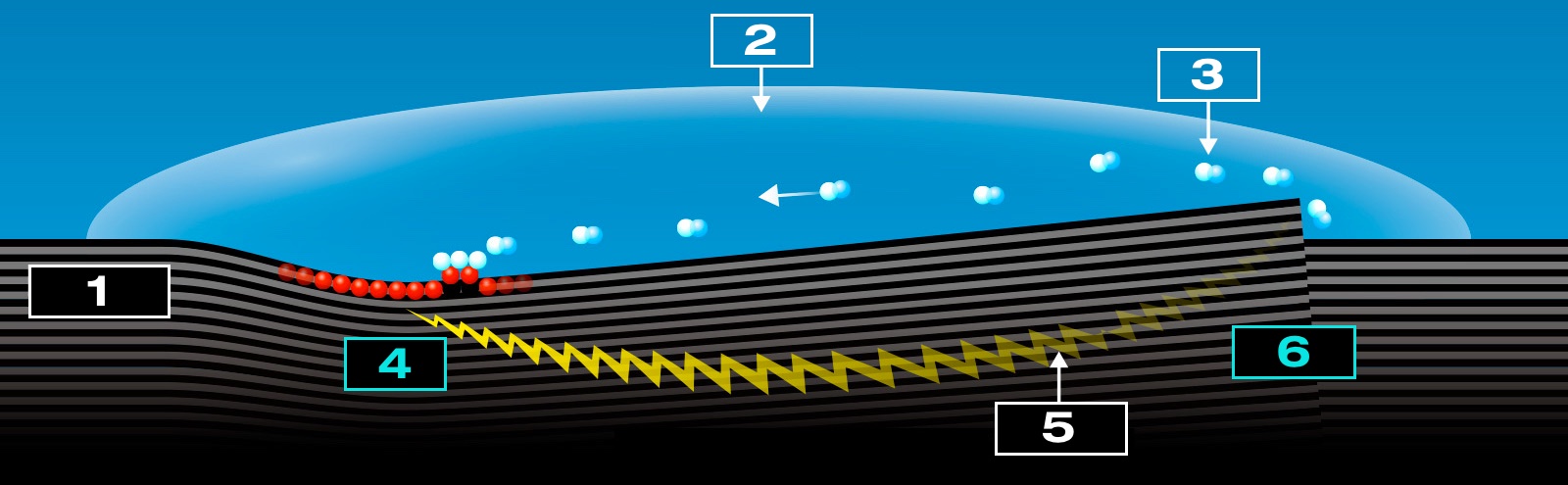 Inside a corrosion cell