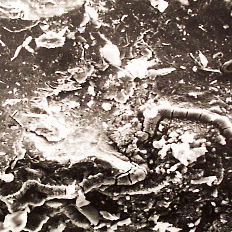embedded-abrasive.jpg