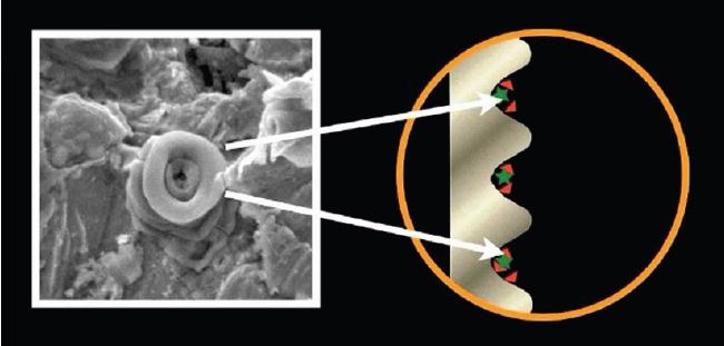 Microscopic contaminants in surface depressions