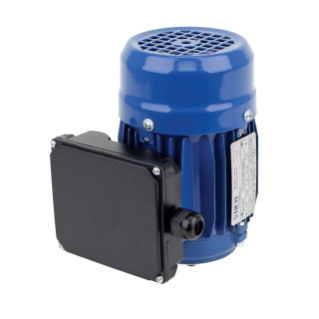 MOTOR, EO-1 230V 50/60 HZ 1PH