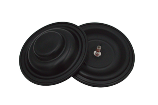 KIT,DIAPHRAGM-F1 EO